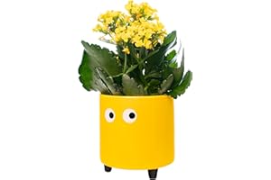 Fisura - Original Flower pots "Eyes Design", Ceramic Plant pots Indoor, Decorative Indoor planters with Legs for Cactus, Planters for Flowers and Succulents, Dimensions: 13cm x 12,5cm (Yellow)