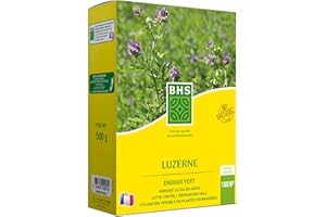 BHS LUZ500, 500g, 100 m², Luzerne, Améliore la structure du sol, Résiste au froid et à la sécheresse, Très riche en protéines, minéraux, oligo-éléments et vitamines Homogène