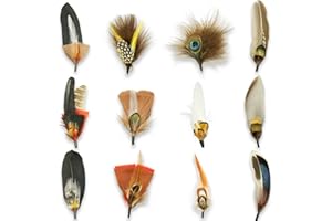 CANIPHA Natural Assorted Feathers Piume per cappelli da 12 pezzi, piccole piume per cappelli, piume naturali assortite per cappelli da cowboy, piume colorate artigianali per cappelli da cowboy(12 stili)