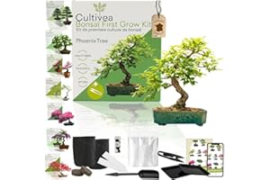 CULTIVEA® Kit First Bonsai- Kit de première culture de Bonsaï – Prêt à Pousser avec Graines & Accessoires – Idée Cadeau Jardinage | Made In France (Phoenix Tree)