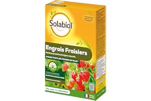 SOLABIOL Engrais Fraisiers & Petits Fruits - 750g - Jusqu'à 15m² - Stimulateur De Croissance - Nutrition Longue Durée - Jusqu'à 50% De Fraises En Plus - Utilisable En Agriculture Biologique SOFRAY750
