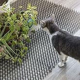WEBER Kedi Kovucu Mat, Plastik, 10 Adet, Toplam 250 cm, Bah&ccedil;e ve İ&ccedil; Mekan Kullanımı