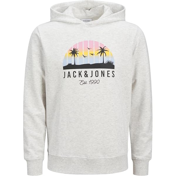 Jack & Jones Jjelogo Felpa Con Cappuccio Bambino - Ragazzo, Maniche Lunghe, Cotone, Taglio Normale, Colore Blu, Autunno Inverno