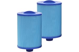 DAYEAR Remplacement de Filtre Spa 4.65㎡ (2 Paquet) Filtre plissé de 5 microns pour Bain à remous à Visser en Filet SAE de 3.8cm pour 6CH-940RA PWW50P3-M FC-0359M 03FIL1400 817-0050