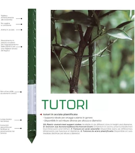 VERDELOOK Cannette Sostegno Piante - Tutori Metallici Plastificati Verdi | Ideali Per Orto E Giardinaggio 150cm - Foto 7