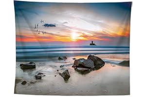 izielad Plage Mouettes Animal Océan Récif Plage Tenture Murale Tapisserie pour Dortoir Chambre Salon Décorations 150X230CM 59X90.5IN