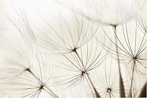 APALIS Bilderwelten Carta da parati - Steli delicati - Carta da parati a fiori fotomurale carta da parati larga carta da parati tessuto non tessuto tappezzeria carta da parati moderna 3D parati di design, Dimensione AxL: 190cm x 288cm