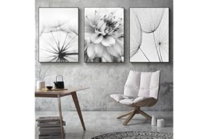 Trayosin 3-teiliges Premium Poster Set Aesthetic Blume Schwarz Weiß Feder Löwenzahn Bilder Moderne Wandbilder, Wohnzimmer Schlafzimmer Wanddeko Art ohne Rahmen (B,50x70cm)