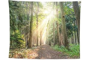 izielad Soleil du Matin à Travers Les Arbres Forêt Tapisserie Naturelle pour Chambre à Coucher Tenture Murale Dortoir 150X230CM 59X90.5IN