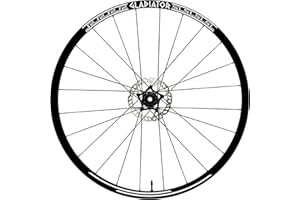 DualColorStampe Autocollants pour jantes de vélo 26" - 27,5" - 28-29" Pouces Roue de vélo VTT Stickers Jantes VTT B0054 (26" Pouces, Blanc)