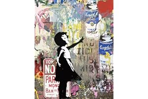 TISHIRON Paint by Numbers, Girl Paint by Numbers Kits for Adults, Graffiti Adults Paint by Numbers Kits with Brushes and Acrylic Pigment, 16x20 Inch Paint by Numbers for Home Decoration Without Frame