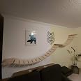 Passerella Per Gatti MediKratz Catwalk - 100 Cm, Inclinazione Regolabile, Design Naturale