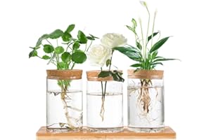 Hniuyun Propagation Stations, Desktop Plant Terrarium with Wooden Tray & Lid for Propagating Hydroponic Plants Centerpiece Office Home Decor, 3 Pcs