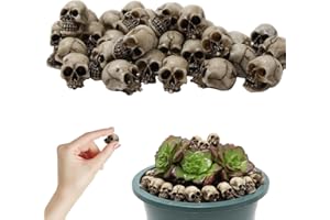 LYNBLY 20 Pezzi mini teschi decorativi, testa di scheletro di halloween, giocattoli realistici in resina a forma di teschio, per feste, accessori fai da te, ornamenti per vasi da giardino