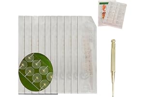 IMTUANZI Ear Seeds Acupuncture Kit - 200 Pcs Ear Press Auriculotherapy Seeds with Free English Ear Chart Guide & Retractable Copper Probe Pen for Anxiety Relief and More(Gold-200Pcs)