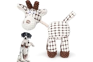 YSQEVN Juguete de Peluche para Perros Juguete Interactivo de Morder Sonido Masticable Regalos Resistente a Las Mordeduras para Pequeños Medianos Grandes Cachorros Suave Algodón Blanco