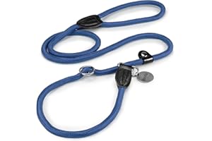 lionto Laisse Retriever Robuste et résistante aux intempéries pour Chiens de Toutes Tailles, Laisse et Collier en Un, 170 cm, Douce pour Le Pelage avec Stop intégré, Vegan, Bleu