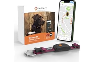 Weenect Dog XT - NUOVO Collare GPS per Cani | Antenna XL | Impermeabile | Collare ultra-resistente integrato Julius-K9 | Garanzia a vita | Abbonamento richiesto (Rosa)