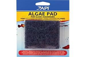 API HAND HELD ALGAE PAD For Glass Aquariums 1-Count Container