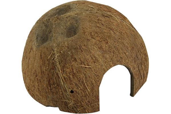 JBL Cocos Cava 1/2L, Coque de noix de coco servant de grotte pour aquariums et terrariums