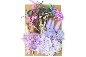 WUMZIRA Natürliche Getrocknete Blumen, Trockenblumen Set, für DIY Gepresste Blumen, Scrapbooking, DIY-Kerze, Schmuckanhänger Basteln