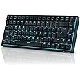 RK ROYAL KLUDGE RK84 Blue Backlit 75% Triple Mode BT5.0/2.4G/USB-C Hot Swappable Mechanical Keyboard, 84 Keys Tenkeyless TKL Mechanical Keyboard w/Detachable Frame & Software, Red Switch