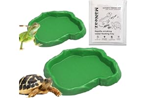 MaNeaz 2 Piezas Reptiles Bandeja De Agua Cuenco De Agua Para Terrario Comedero Y Bebedero Para Reptiles Ideal Para Geckos Serpientes Y Pequeños Reptiles（Verde）