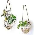 Ivolador Wall Hanging Glass Flower Plants Terrarium Container for Hydroponic Plants, Home Office Garden Decor, Set of 2