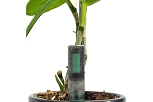 hûs+ Flower eco 【 A Babysitter for Your Plants 】 Digitaler Gießanzeiger inkl. 10-Jahres-Batterie * Feuchtigkeitsmesser für Pflanzen Feuchtigkeitsmessgerät Bodentester