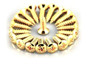 Guitar Anatomy Scratchplate Pickguard Screws Gold x4