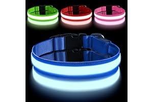 AUAUY Collier Lumineux LED Rechargeable pour Chien, avec Port Type-C, Collier LED Chien Réglable avec 3 Modes D'éclairag, Imperméable, pour Petits, Moyens et Grands Chien (M, Bleu)