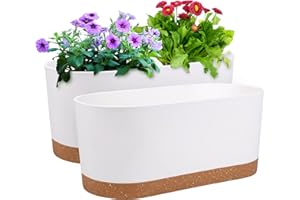 QCQHDU 2 Pack Window Boxes Planters,16”x 7" Self Watering Pots with Drainage Holes and Trays,Indoor Home Garden Modern Decorative Plant Pot for All House Plants Flowers Herbs (White)