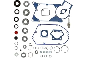 AKF Set: Motorregenerierung mit Kautasit Dichtungen, SKF-Lagersatz - für Simson S51, S70, S53, S83, KR51/2 Schwalbe, SR50, SR80, MS50, DUO 4/2