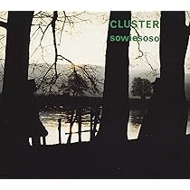 Grosses Wasser: Cluster, Cluster: Amazon.it: CD e Vinili}