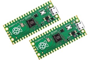 DUBEUYEW Scheda microcontrollore flessibile, SP-Cow Raspberry Pi Pico basata su processore Raspberry Pi Dual-Core Arm Cortex M0+ fino a 133 MHz, supporto C/C++/Python (2 pezzi)