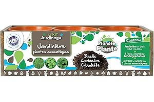 PLANÈTE PLANTE - Jardinière en Bois avec 3 Pots Biodegradables et Graines À Planter - Kit de Jardinage - 170038 - Bois - Jardin - Nature - Plante - Fleurs - Jeu pour Enfant - À Partir de 4 Ans