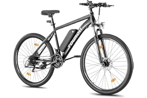 Touroll Bicicletta Elettrica, U1, Batteria Rimovibile 36V 13Ah, Autonomia di 65-30km, bicicletta elettrica uom, Motore 45 NM