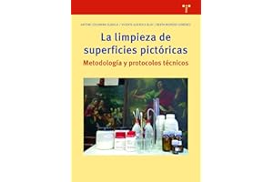 La limpieza de superficies pictóricas. Metodología y protocolos Técnicos: Notas para un proceso metódico: 344 (Biblioteconomía y Administración Cultural)