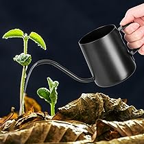 Annaffiatoio a beccuccio lungo in acciaio inox per bonsai da giardino, interno ed estern | Leroy Merlin