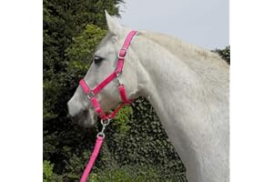 Rhinegold Carnival Headcollar & Matching Rope Set