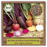 BIO Rüben & Beten Samen Mischung Gemüsesamen bunte Rüben & rote Bete