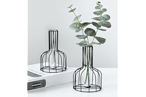 SIETIOJI 2 Stück Schwarze Blumenvase mit Metallrahmen, klares Glas, Reagenzglas, dekorativ, kleine Knospenvasen, Geschenke für Hochzeitsdekoration, Tischblumendekoration, Innendekoration, Wohnzimmerdekoration