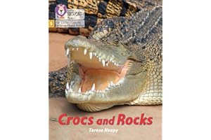 Big Cat Phonics for Little Wandle Letters and Sounds Revised - Crocs and Rocks: Phase 5