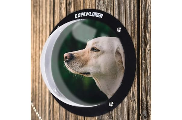 dog shock collar fence amazon