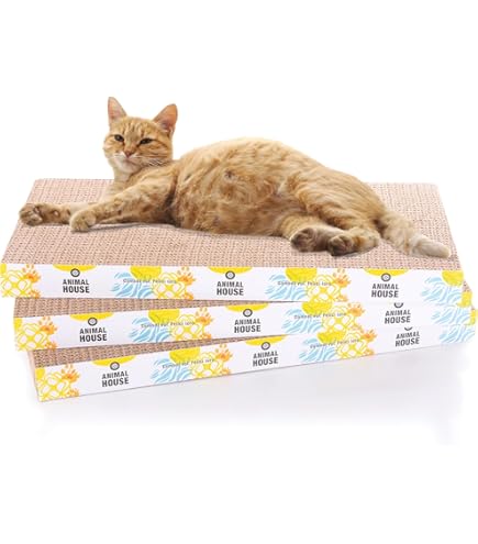 Trixie Herbe À Chat - Bol (100 G) : l'unité de 100 g à Prix