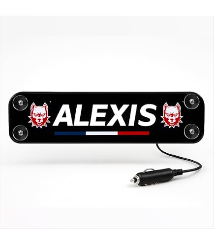 Plaque Lumineuse LED Rouge 24V Pour Scania - Intérieur Cabine - Gravure Laser - Neuf