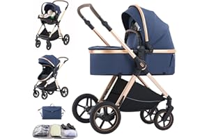 Shineey Poussette Combinée 3 en 1,Poussettes Citadines Avec Siège,Poussette 3 en 1 avec Poignée Réglable en Hauteur,poussette trio Paysage Haut Cadre en Aluminium (D2 BLUE, H2-D)