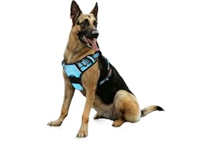 Bihotzak Arnes Perro Pequeño Mediano Grande sin Tirones Accesorios para Perros Ajustable Transpirable Reflectante con Cierres de Seguridad (Azul, L)