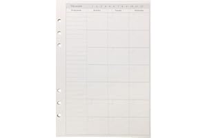 Zelten Recambios/Hojas sueltas para carpeta de anillas con tapa A5/Organizador personal/Planificador(A5 6 Holes, Monthly Plan)
