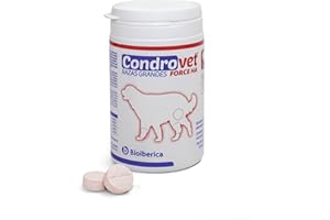BIOIBERICA CONDROVET Force Has Large Breeds 80CPD, 3600 W, 1 Liter, 44 Decibel, Plastic, Non Si Applica